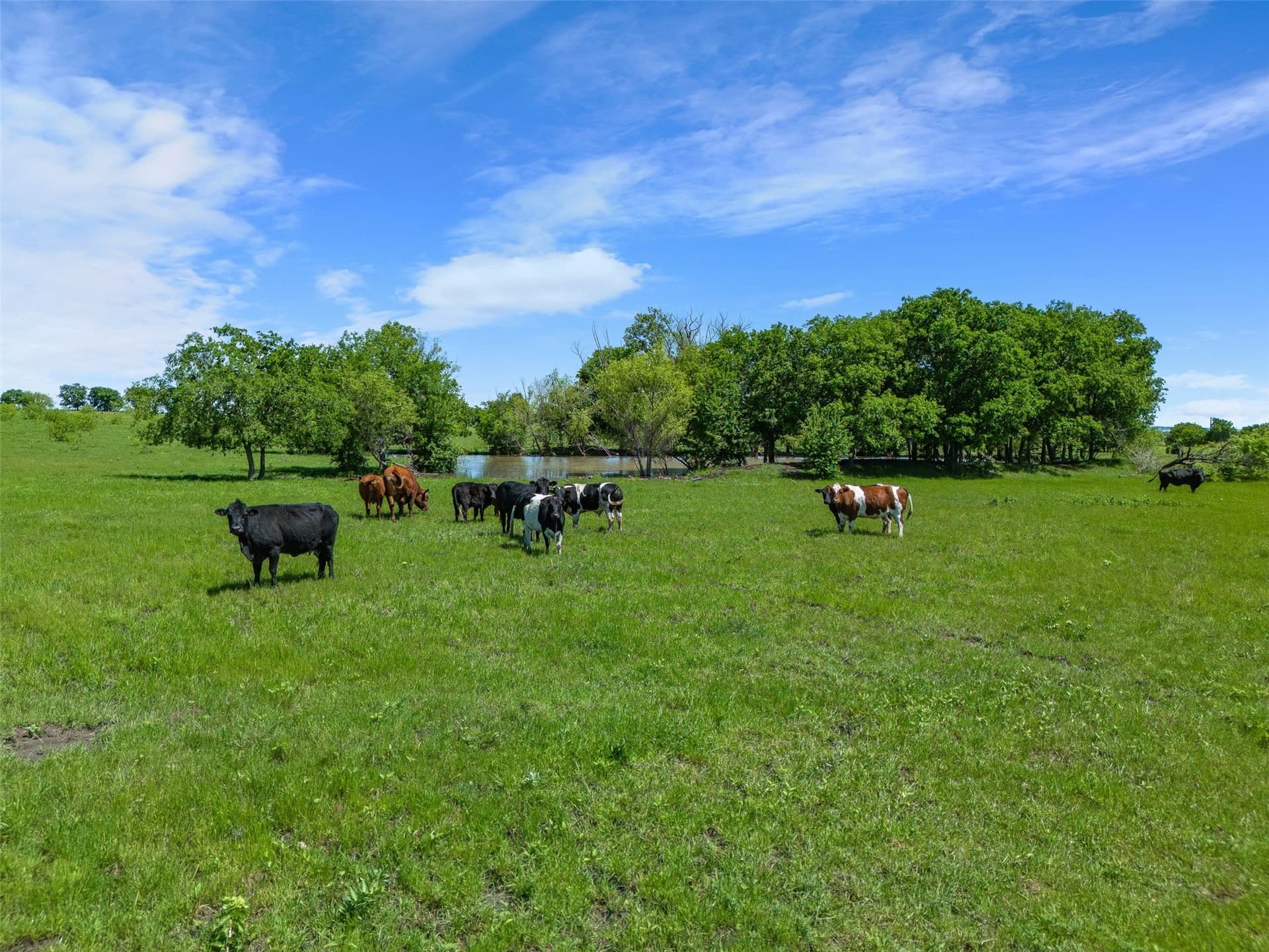 27.16 acres in Johnson County - photo 17
