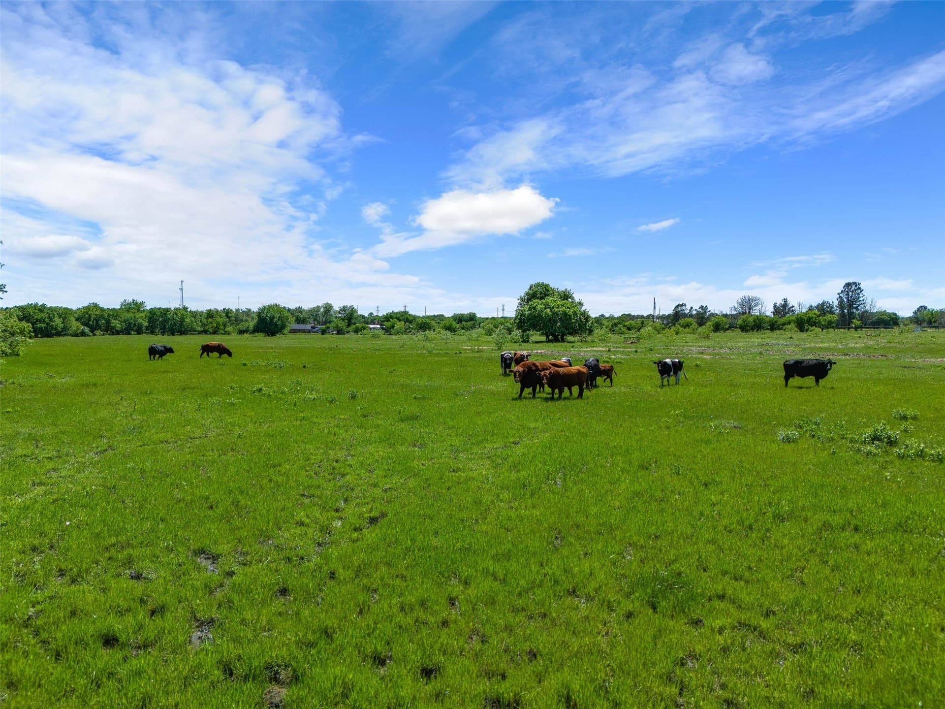 27.16 acres in Johnson County - photo 18