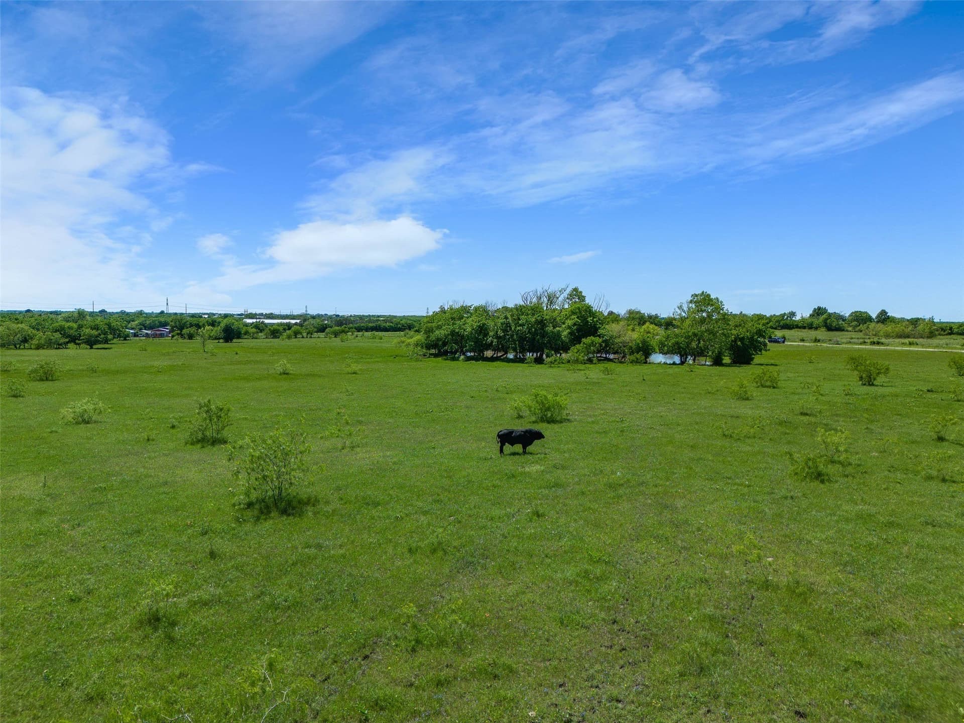 27.16 acres in Johnson County - photo 10