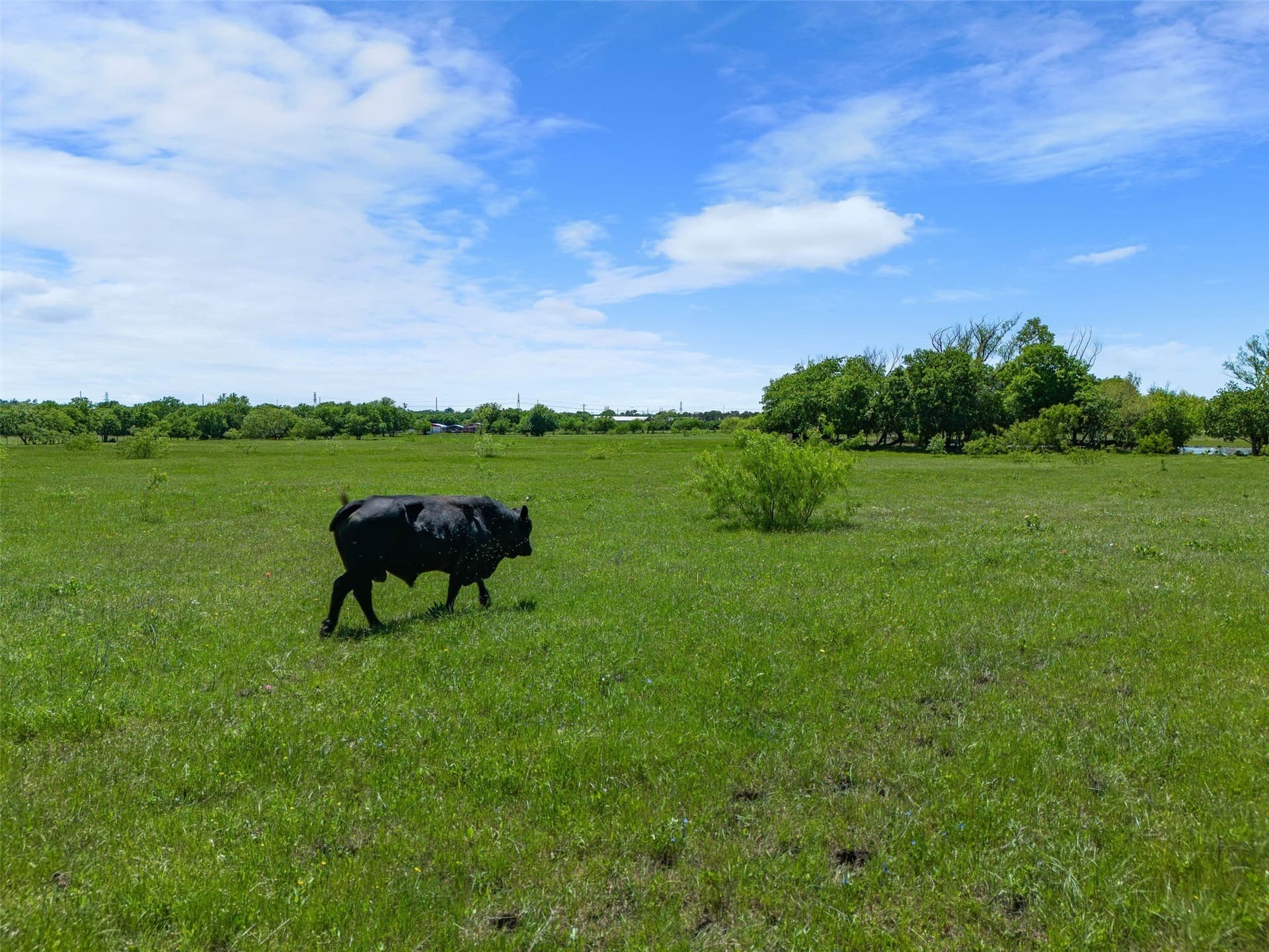 27.16 acres in Johnson County - photo 14