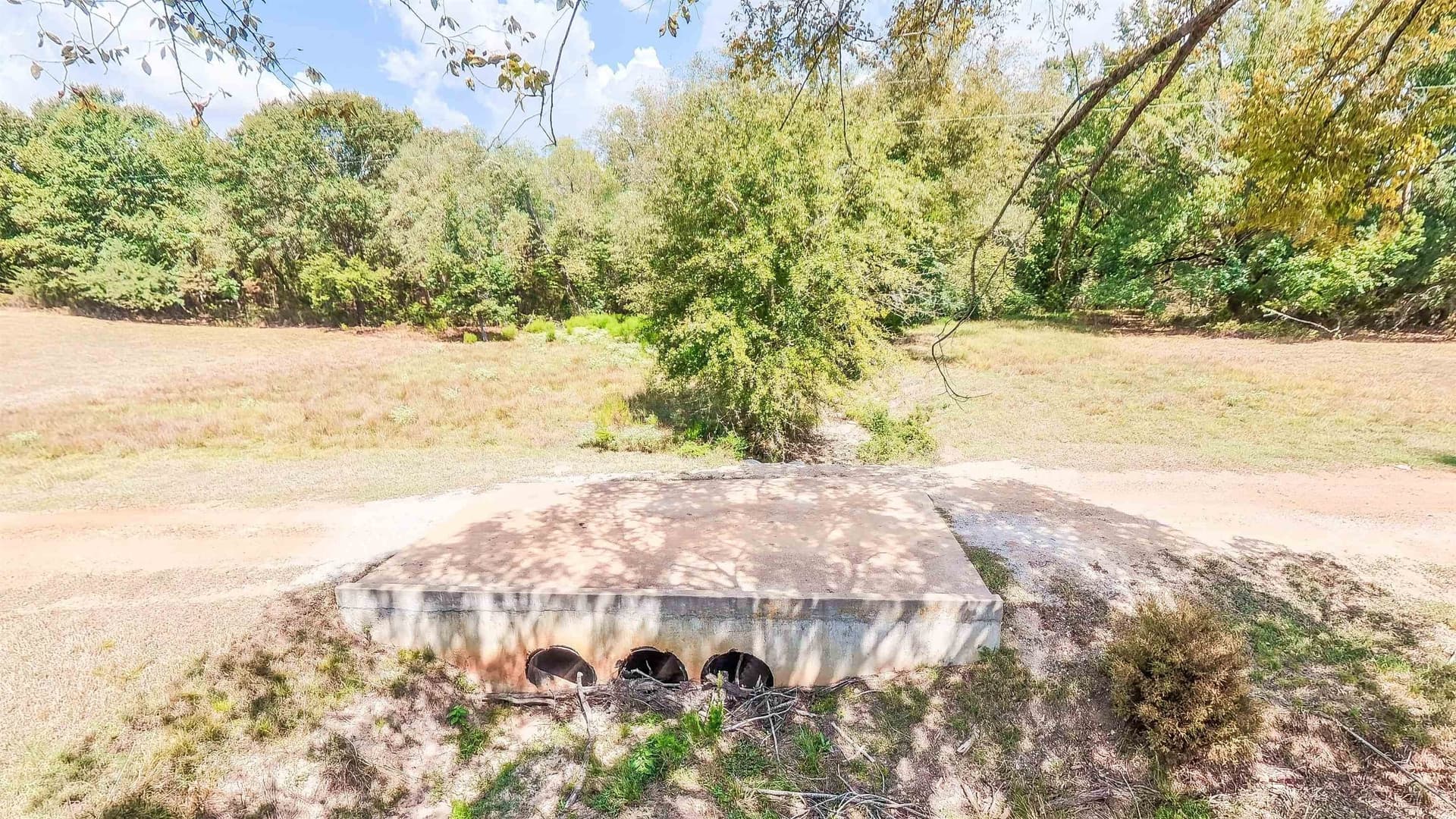70.48 acres in Camp County - photo 47