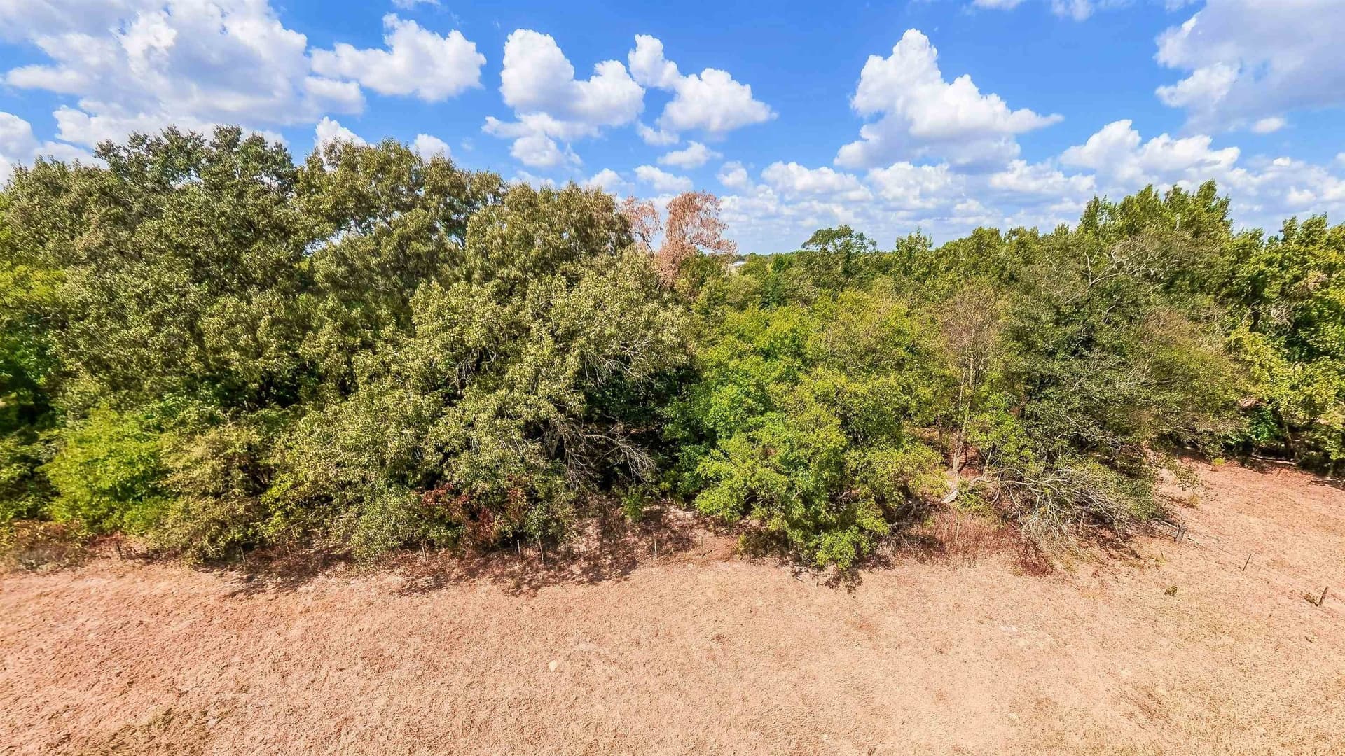 70.48 acres in Camp County - photo 48