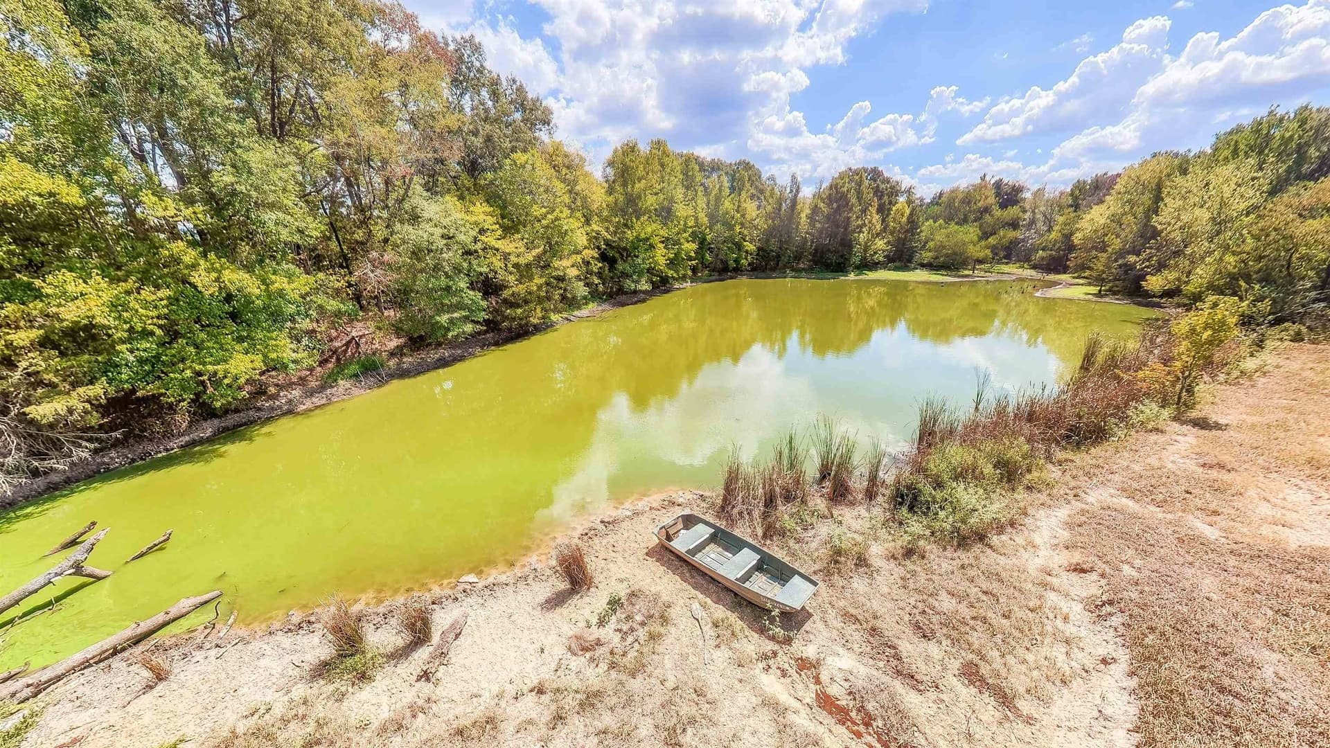 70.48 acres in Camp County - photo 45