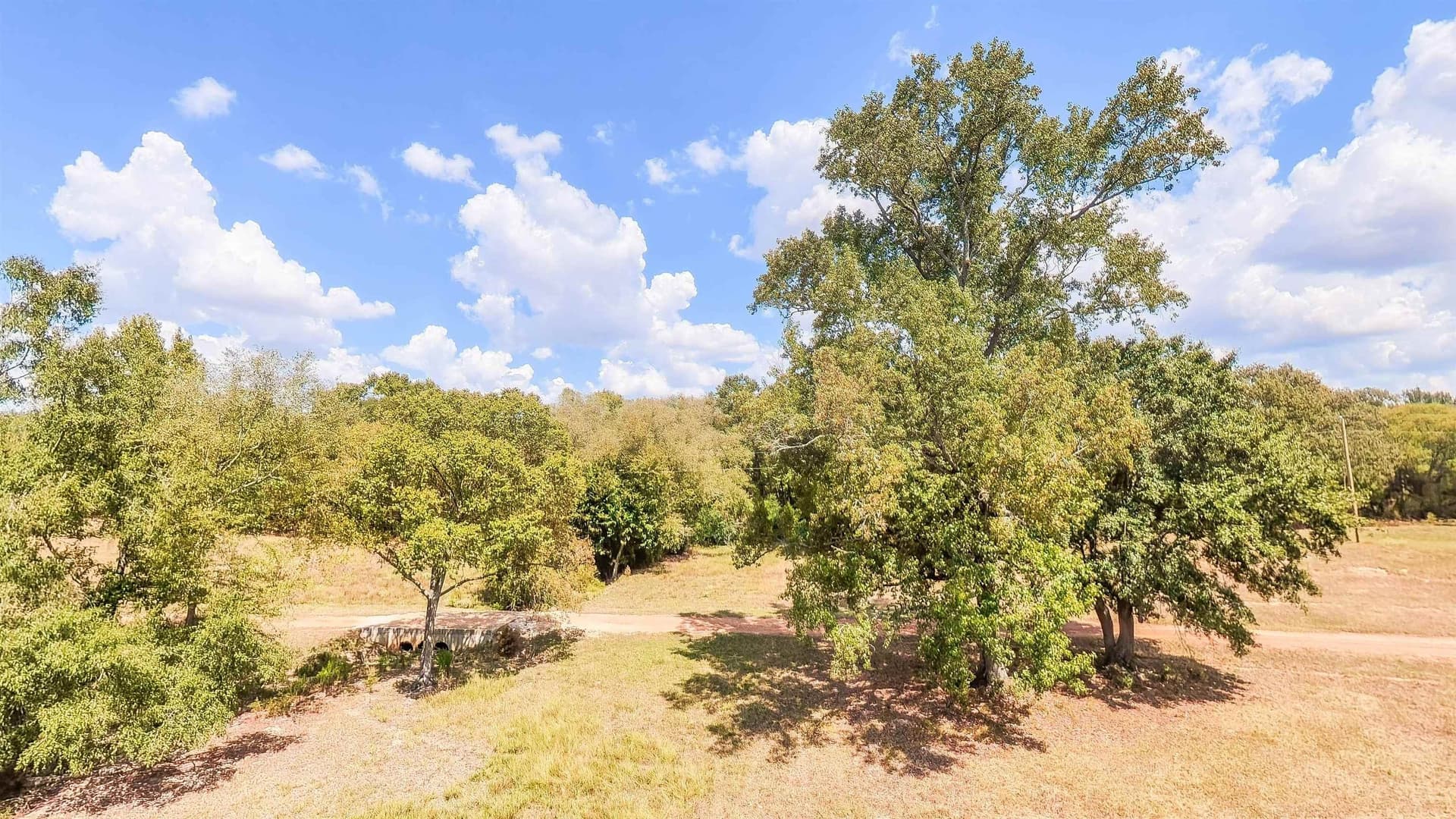 70.48 acres in Camp County - photo 49