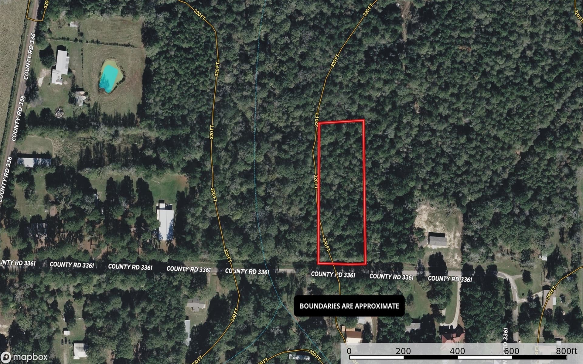 2 acres in Panola County gallery image 2