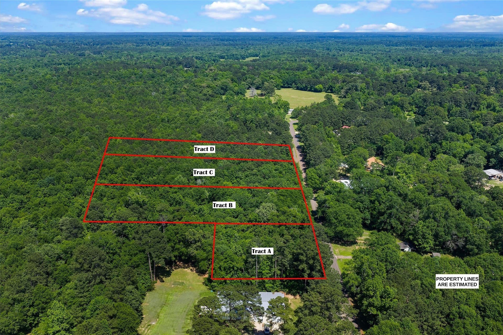 2 acres in Panola County - photo 6