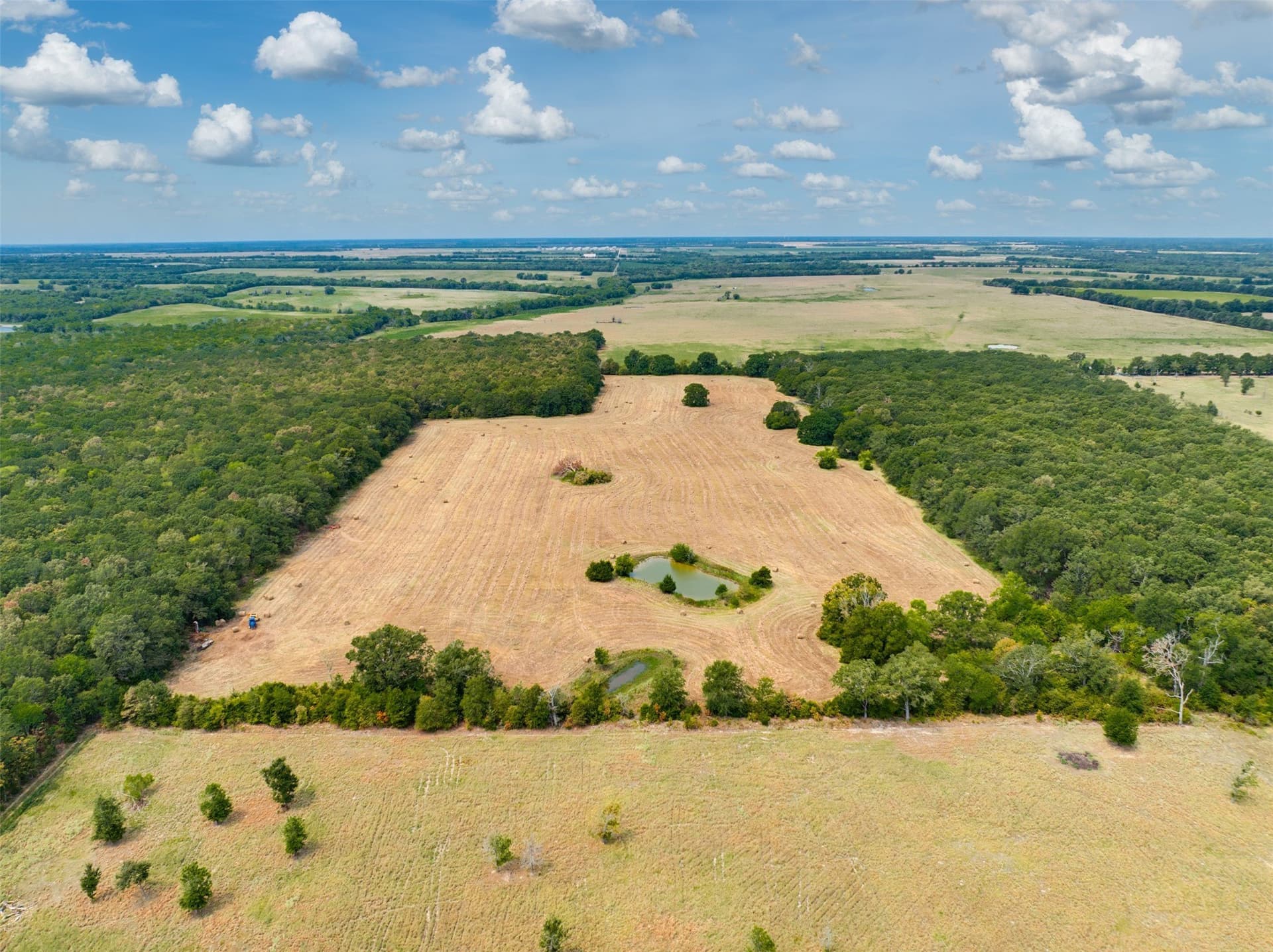 31 acres in Red River (TX) County - photo 4