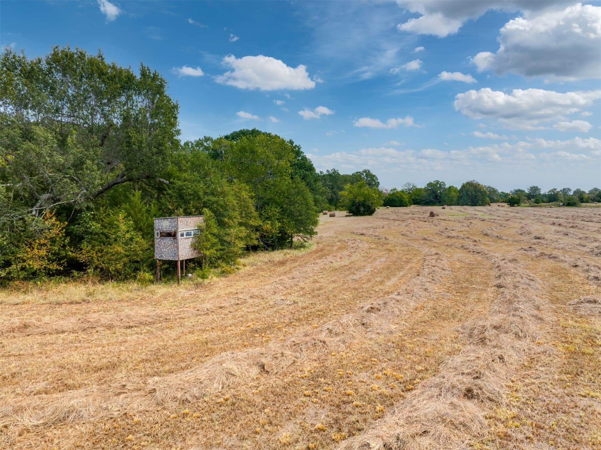 31 acres in Red River (TX) County - photo 18