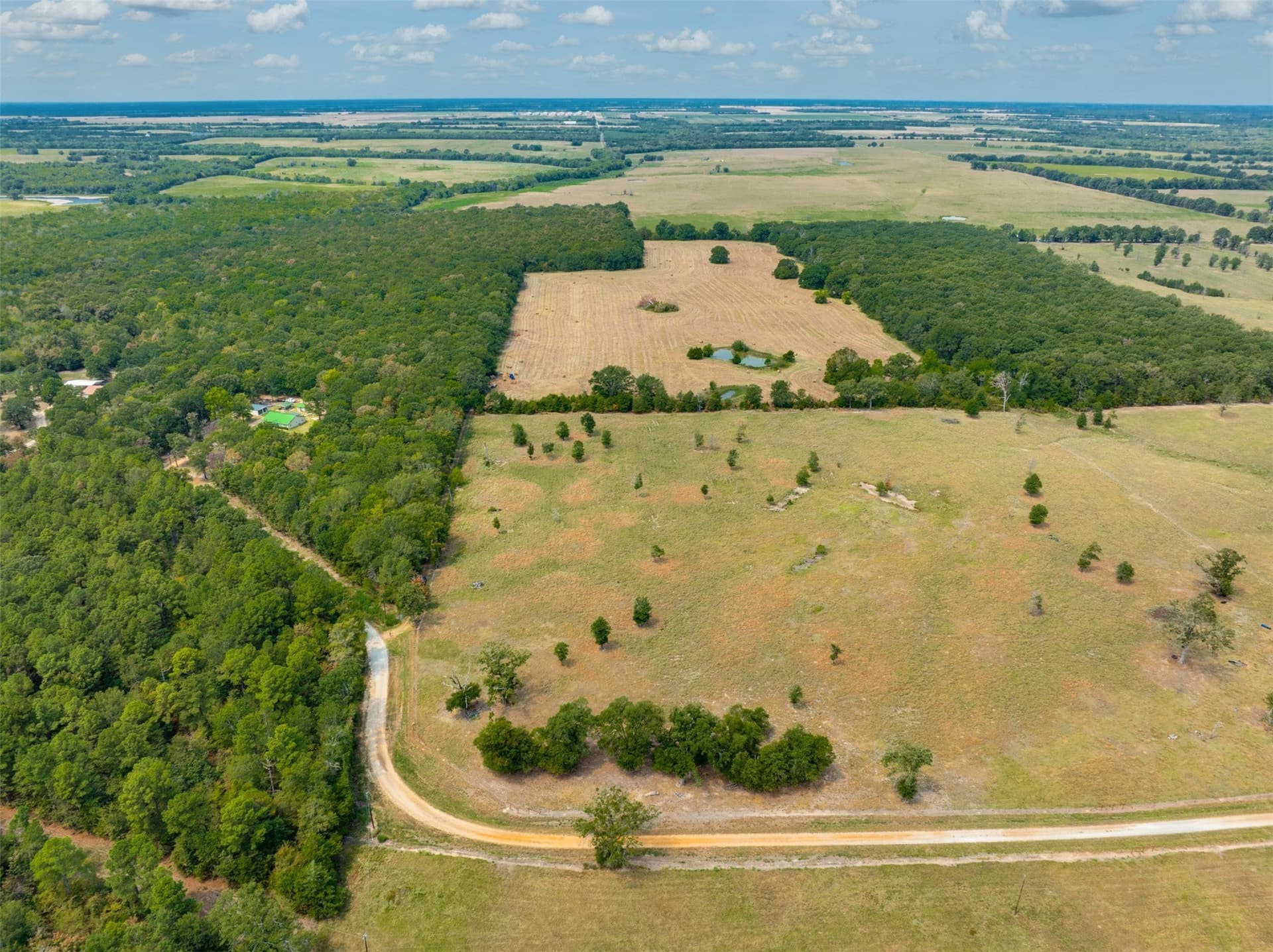 31 acres in Red River (TX) County - photo 19