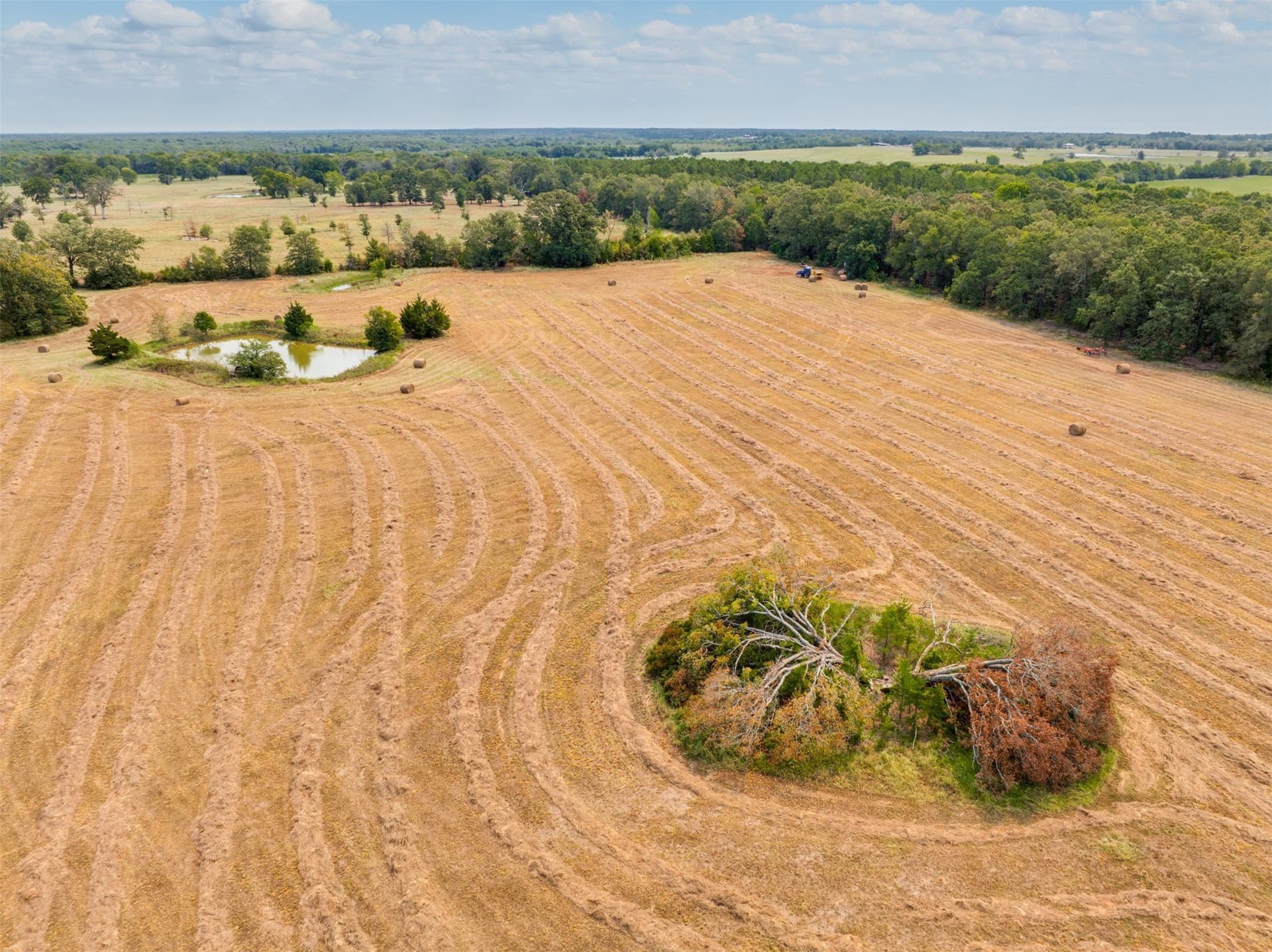 31 acres in Red River (TX) County - photo 14