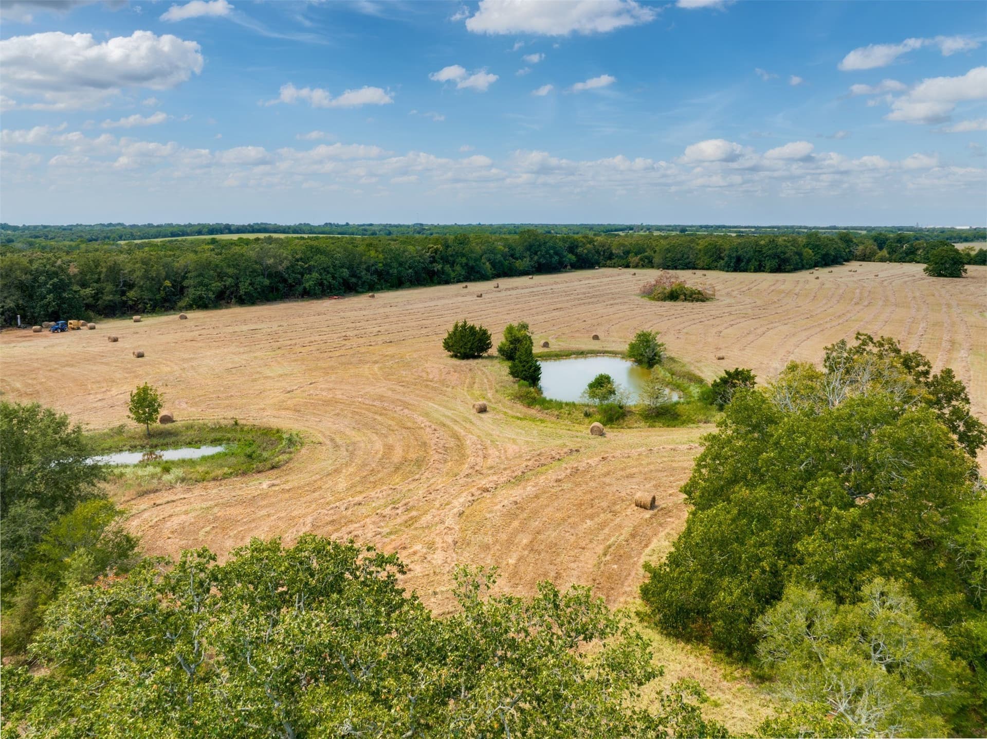 31 acres in Red River (TX) County - photo 3