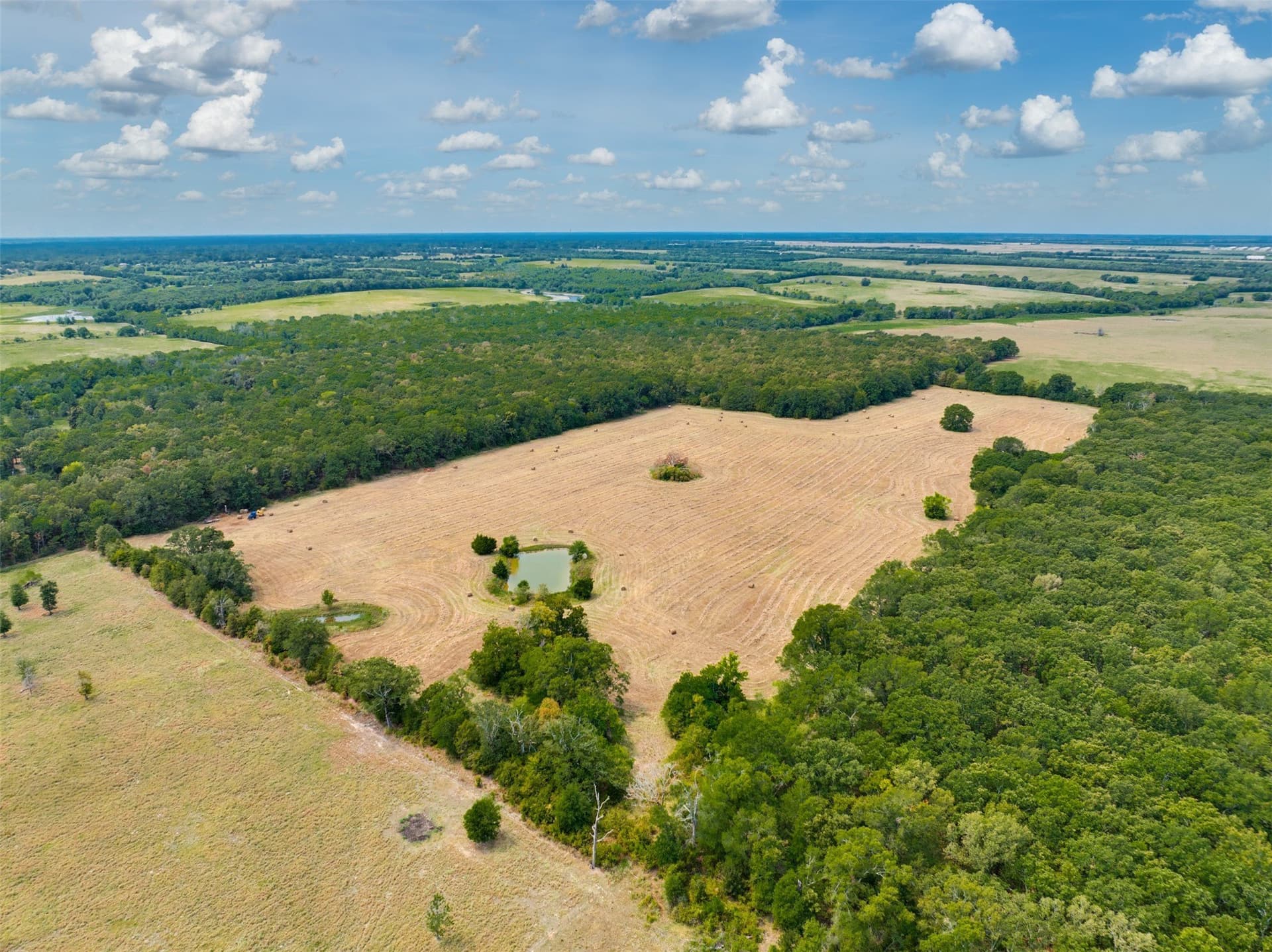 31 acres in Red River (TX) County - photo 5