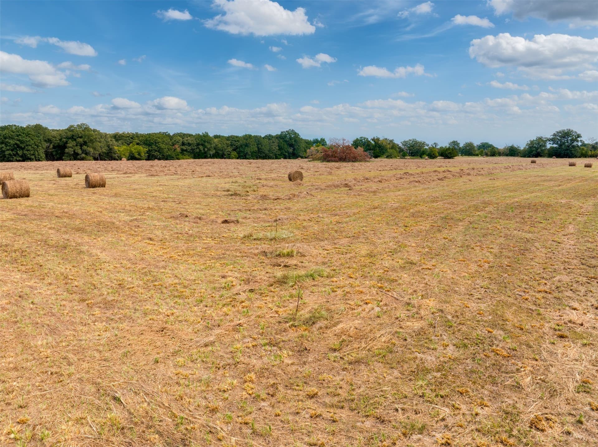 31 acres in Red River (TX) County - photo 12