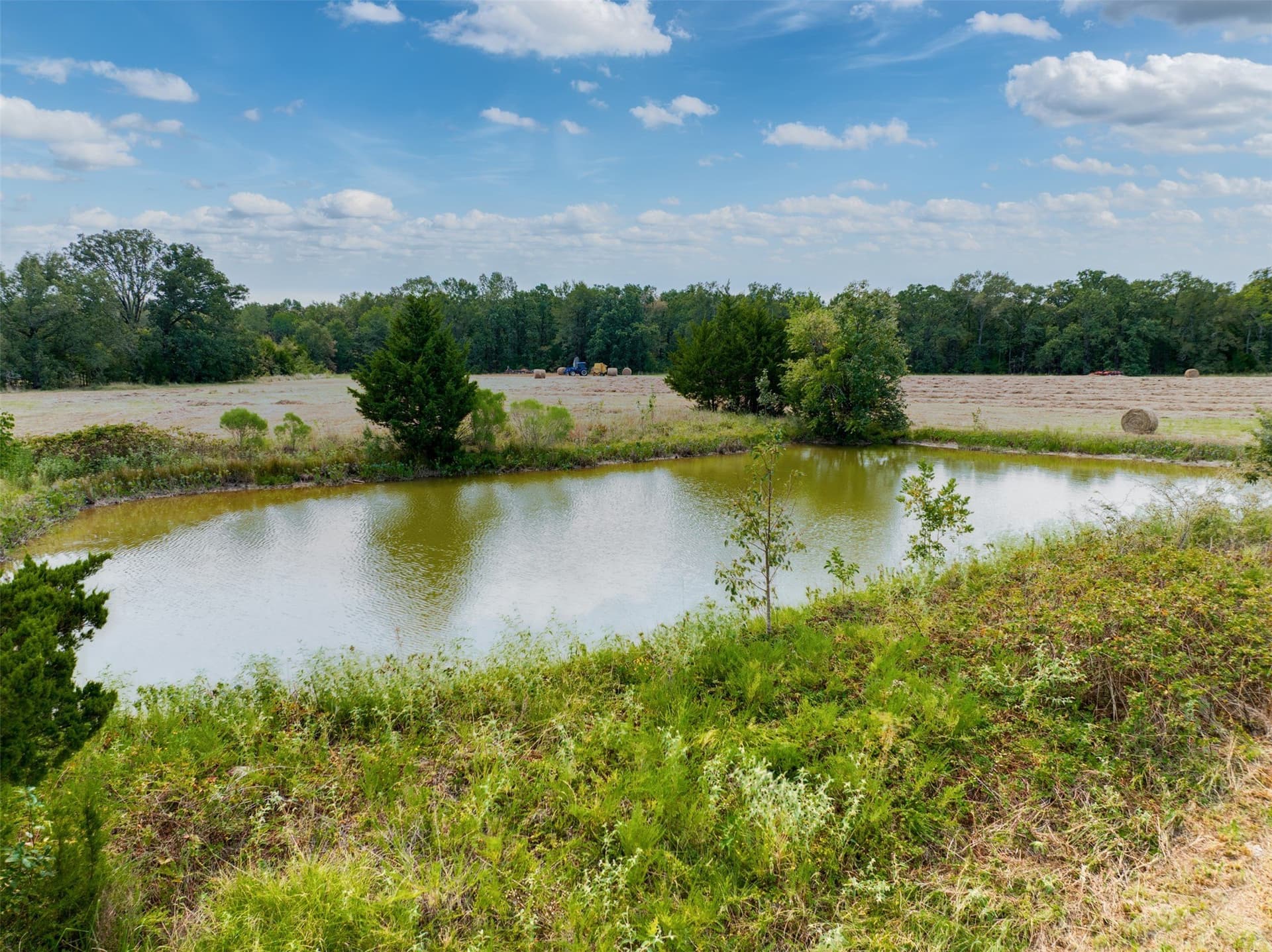 31 acres in Red River (TX) County - photo 9