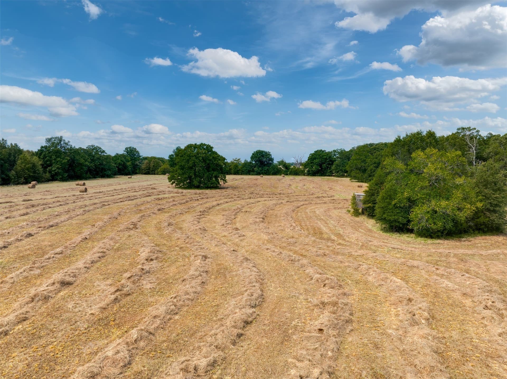 31 acres in Red River (TX) County - photo 16