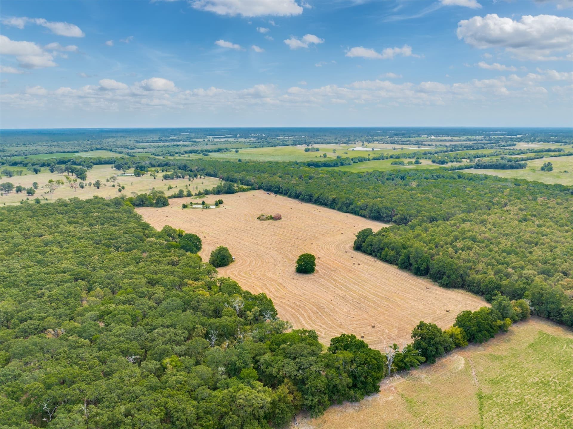 31 acres in Red River (TX) County - photo 6