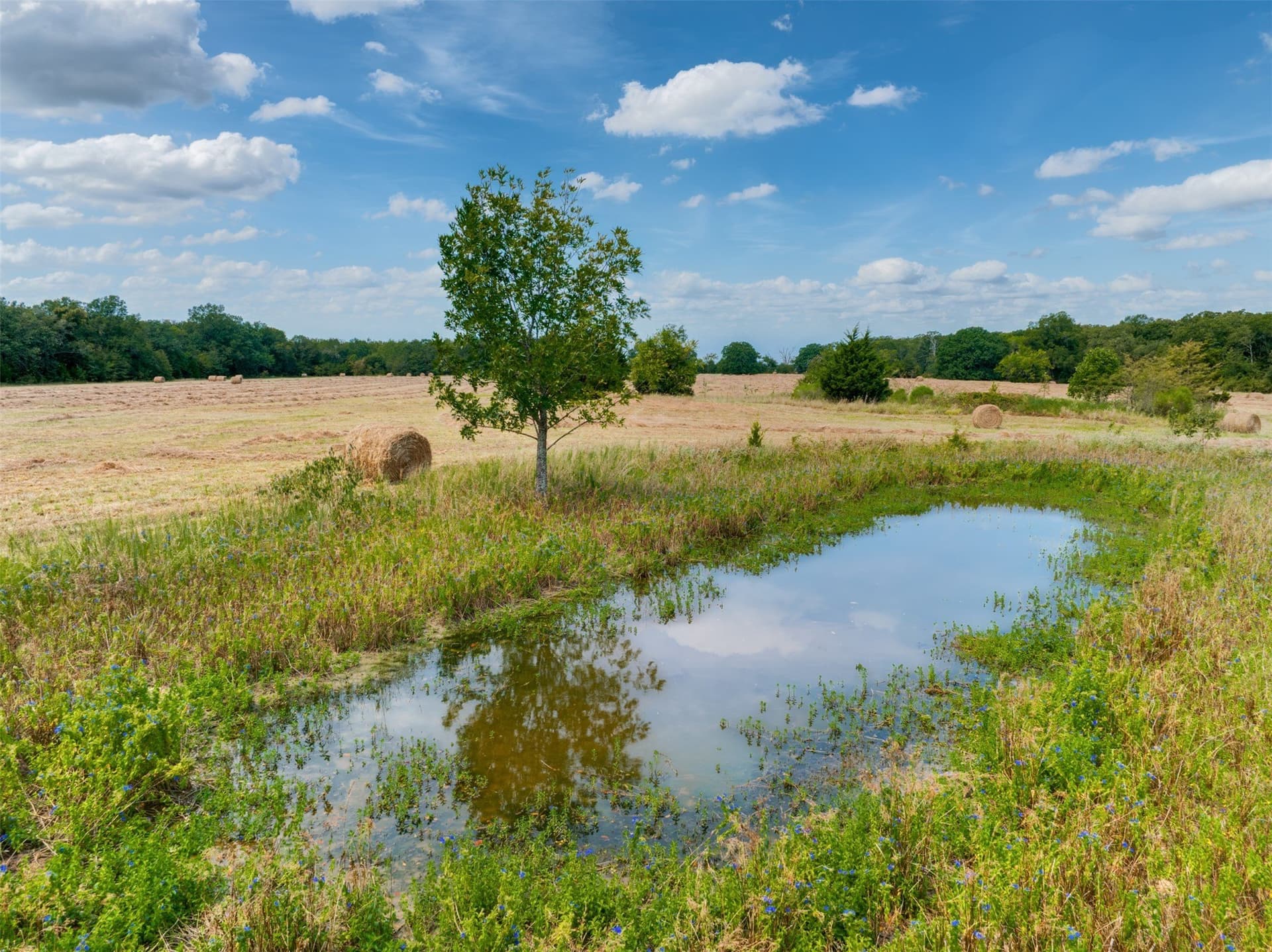 31 acres in Red River (TX) County - photo 11