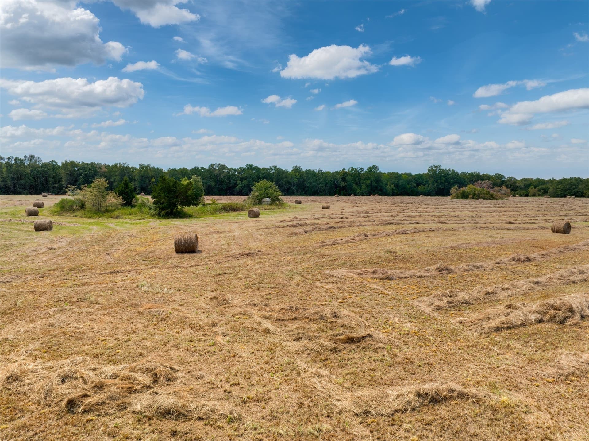 31 acres in Red River (TX) County - photo 15