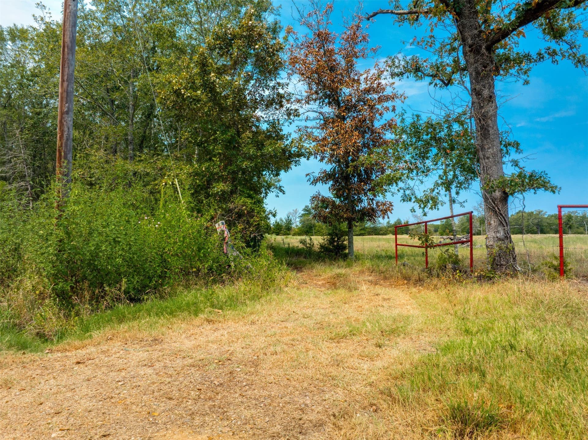 31 acres in Red River (TX) County - photo 13