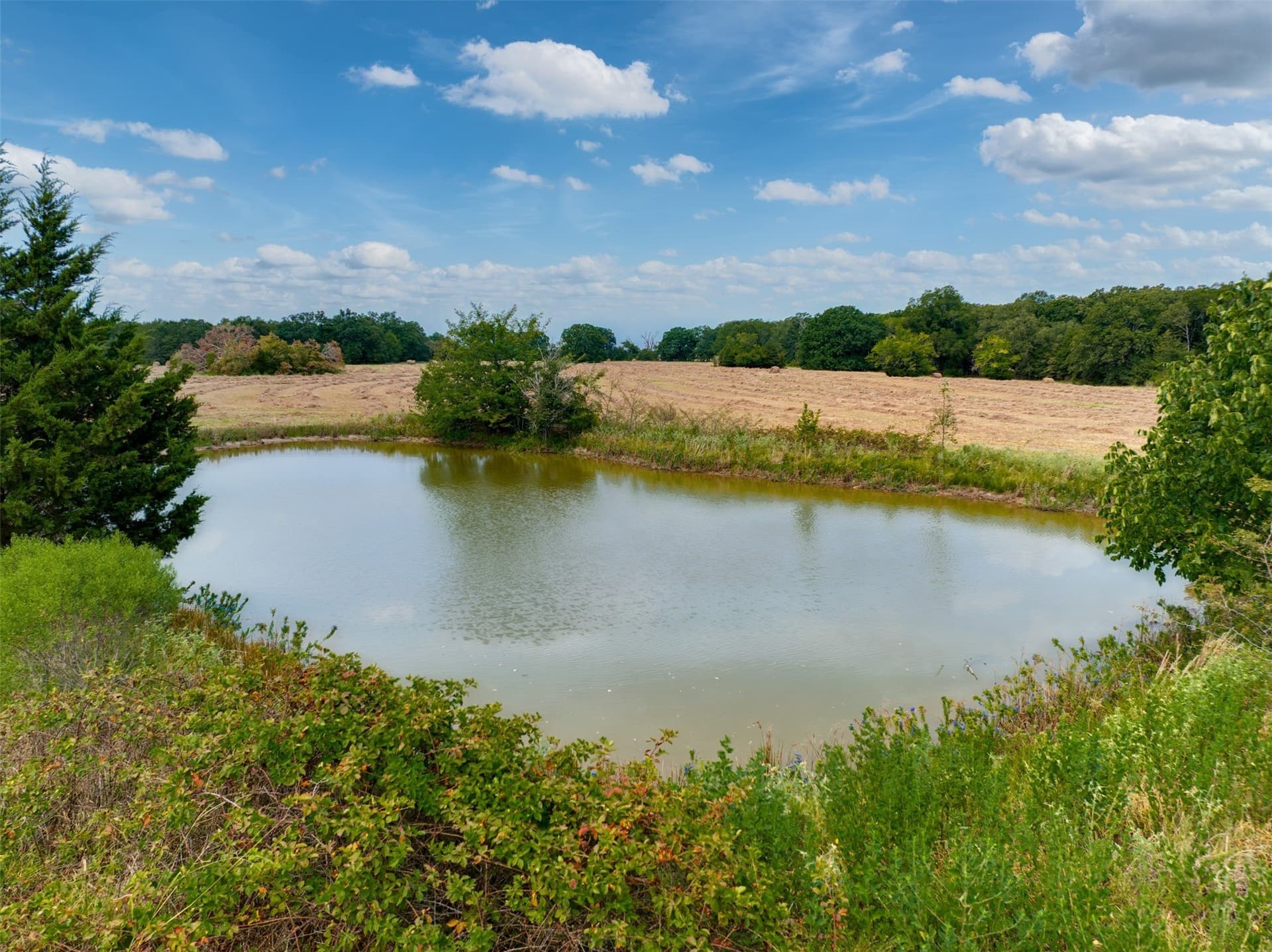31 acres in Red River (TX) County - photo 8