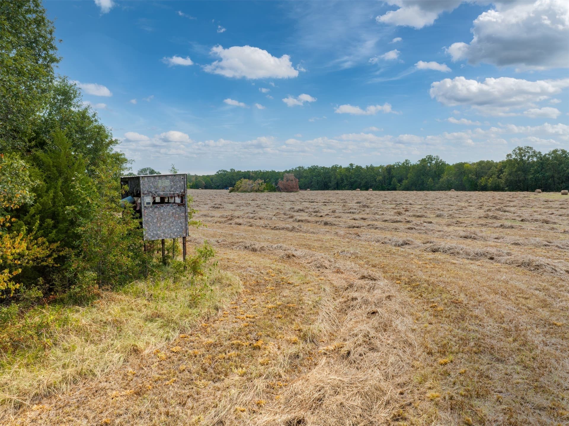 31 acres in Red River (TX) County - photo 17