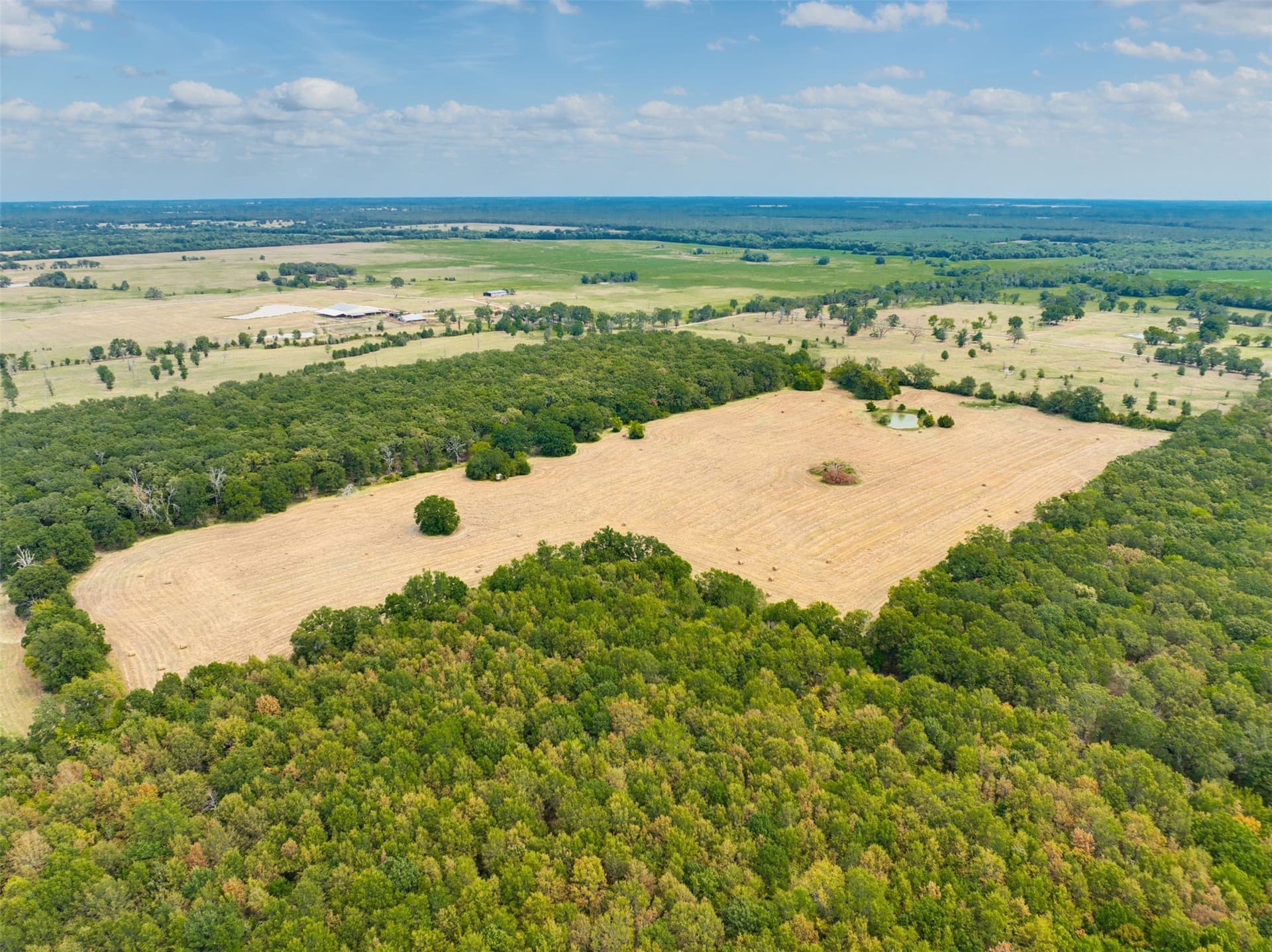 31 acres in Red River (TX) County - photo 7
