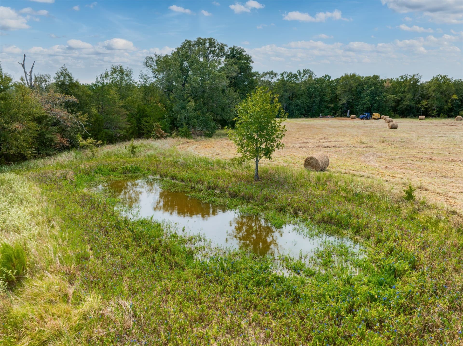 31 acres in Red River (TX) County - photo 10