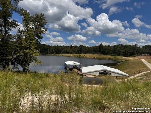 4.01 acres in Leon County - photo 4