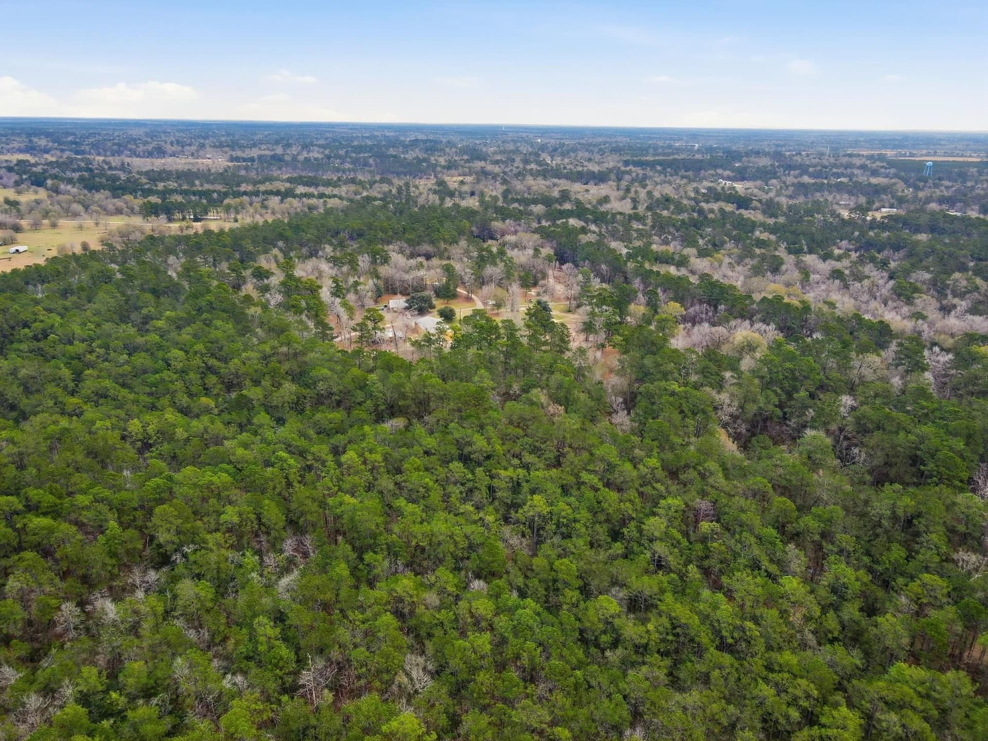 113 acres in Texas County - photo 41