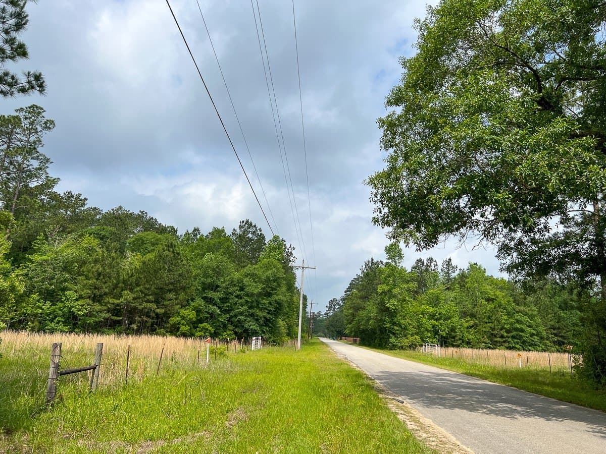 47 acres in Hardin County gallery image 2