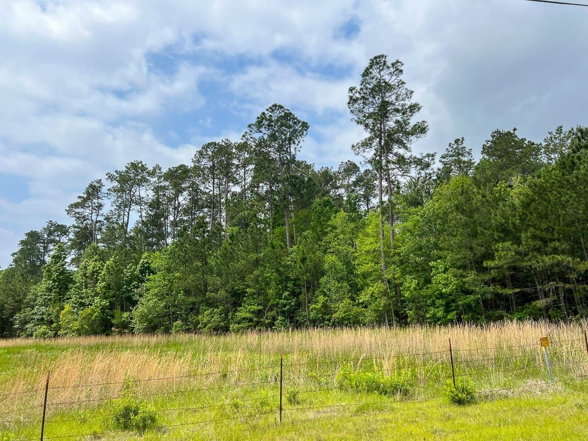 47 acres in Hardin County