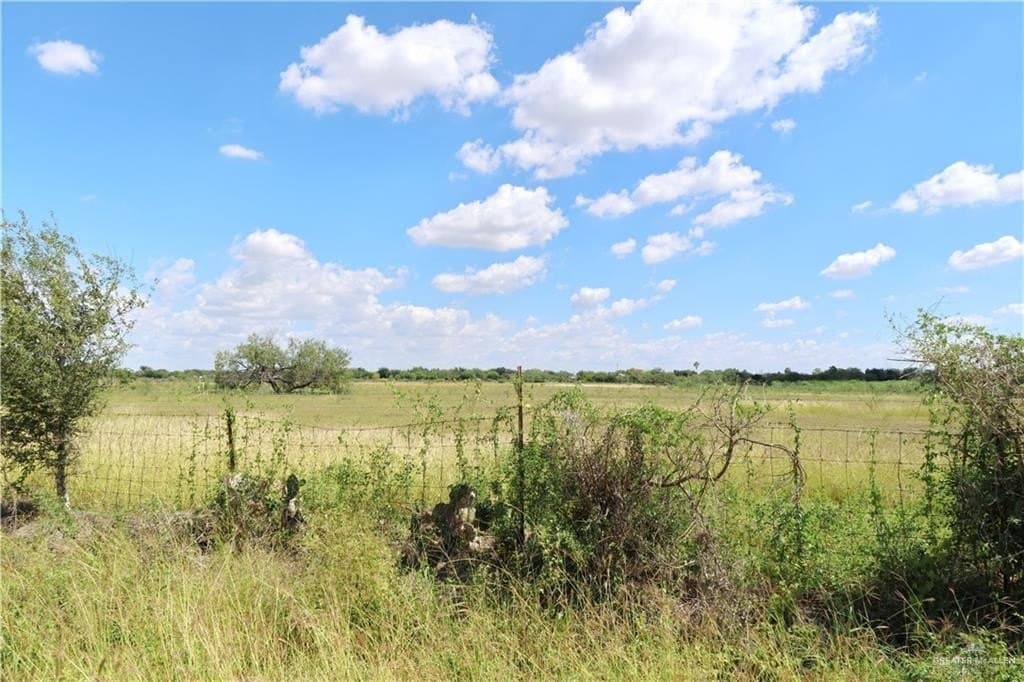 14 acres in Hidalgo County gallery image 2