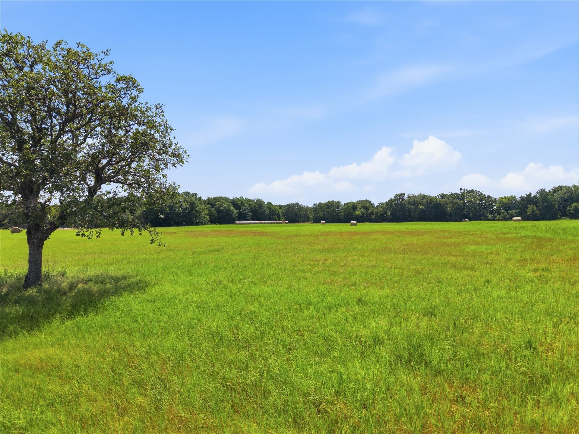 10.03 acres in Wise County