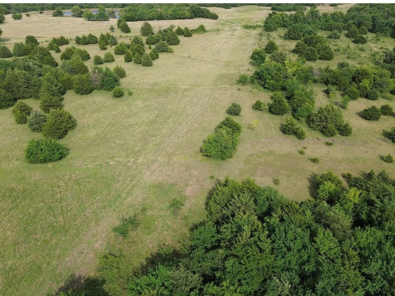 77.34 acres in Hunt County - photo 6