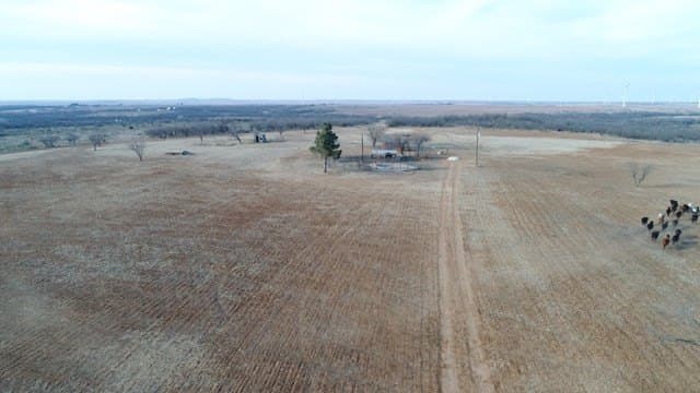 180 acres in Mitchell County gallery image 3