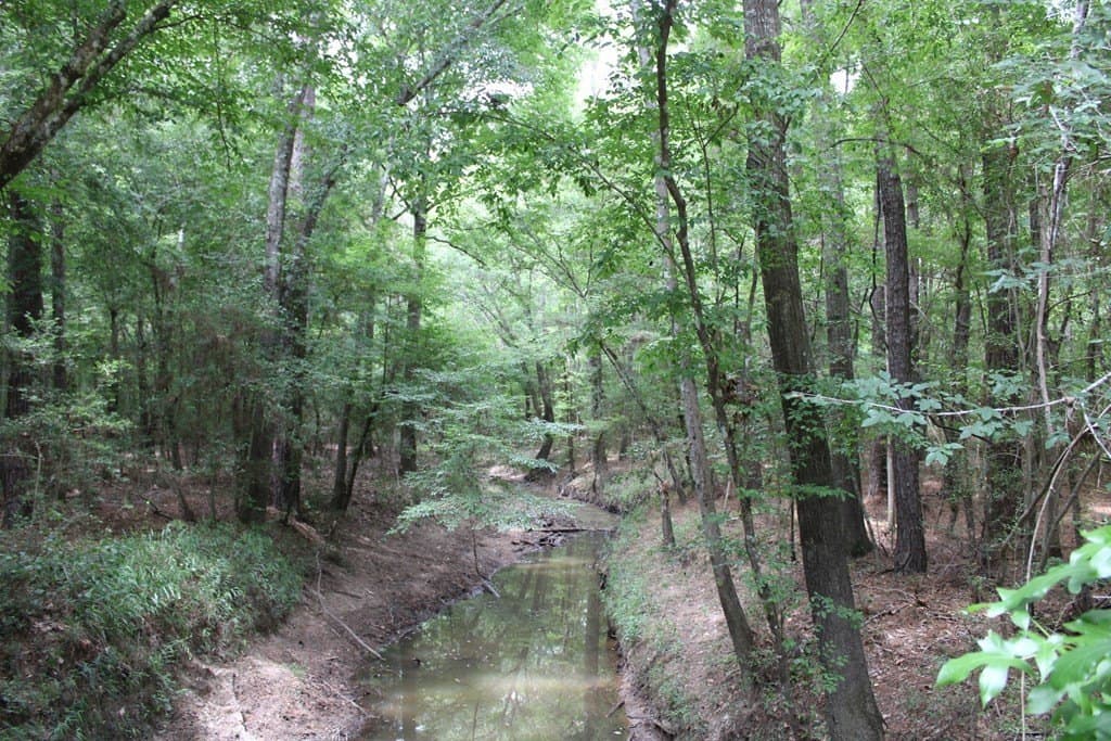 429.13 acres in Texas County gallery image 2