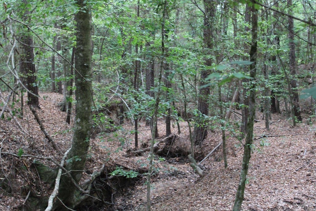 429.13 acres in Texas County featured view