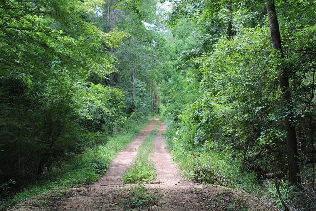 429.13 acres in Texas County gallery image 3