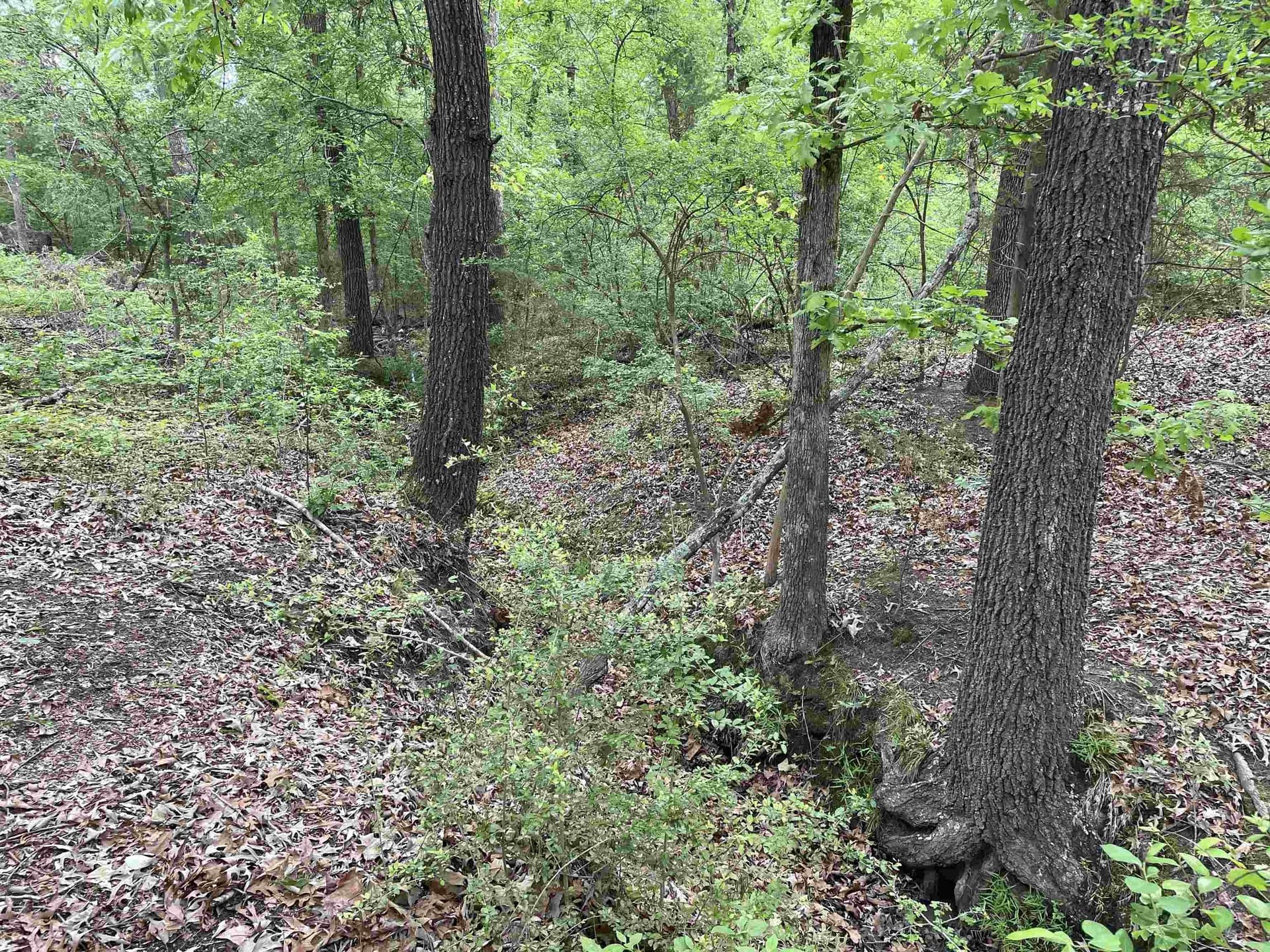 12.05 acres in Henderson County - photo 12