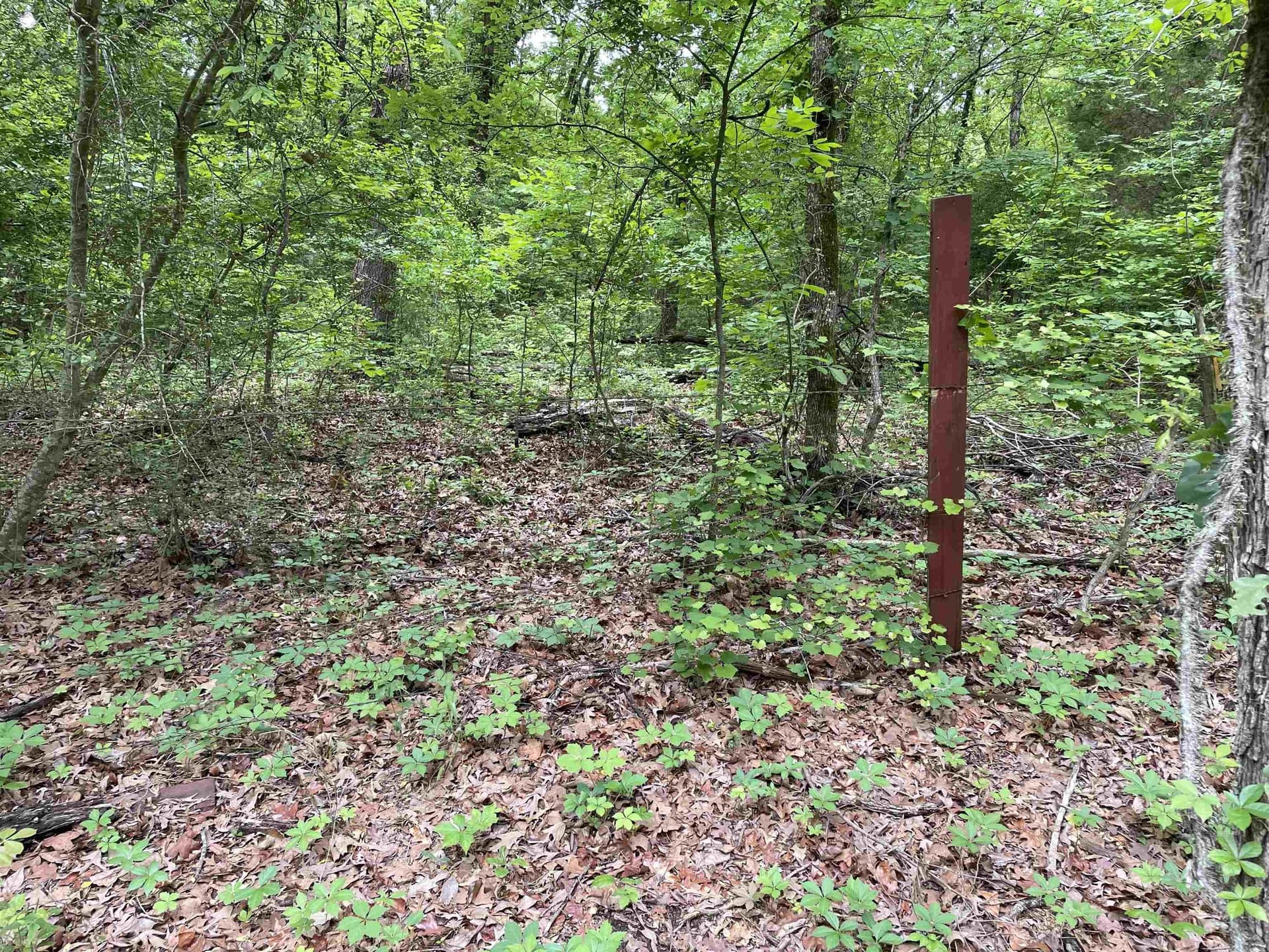 12.05 acres in Henderson County - photo 10