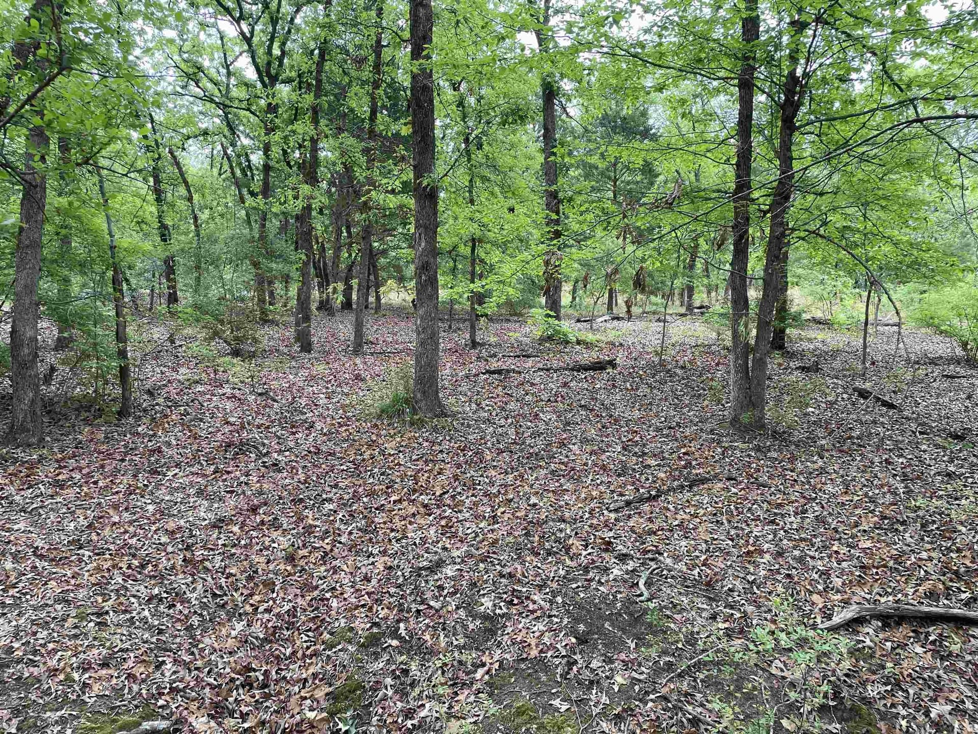 12.05 acres in Henderson County - photo 11