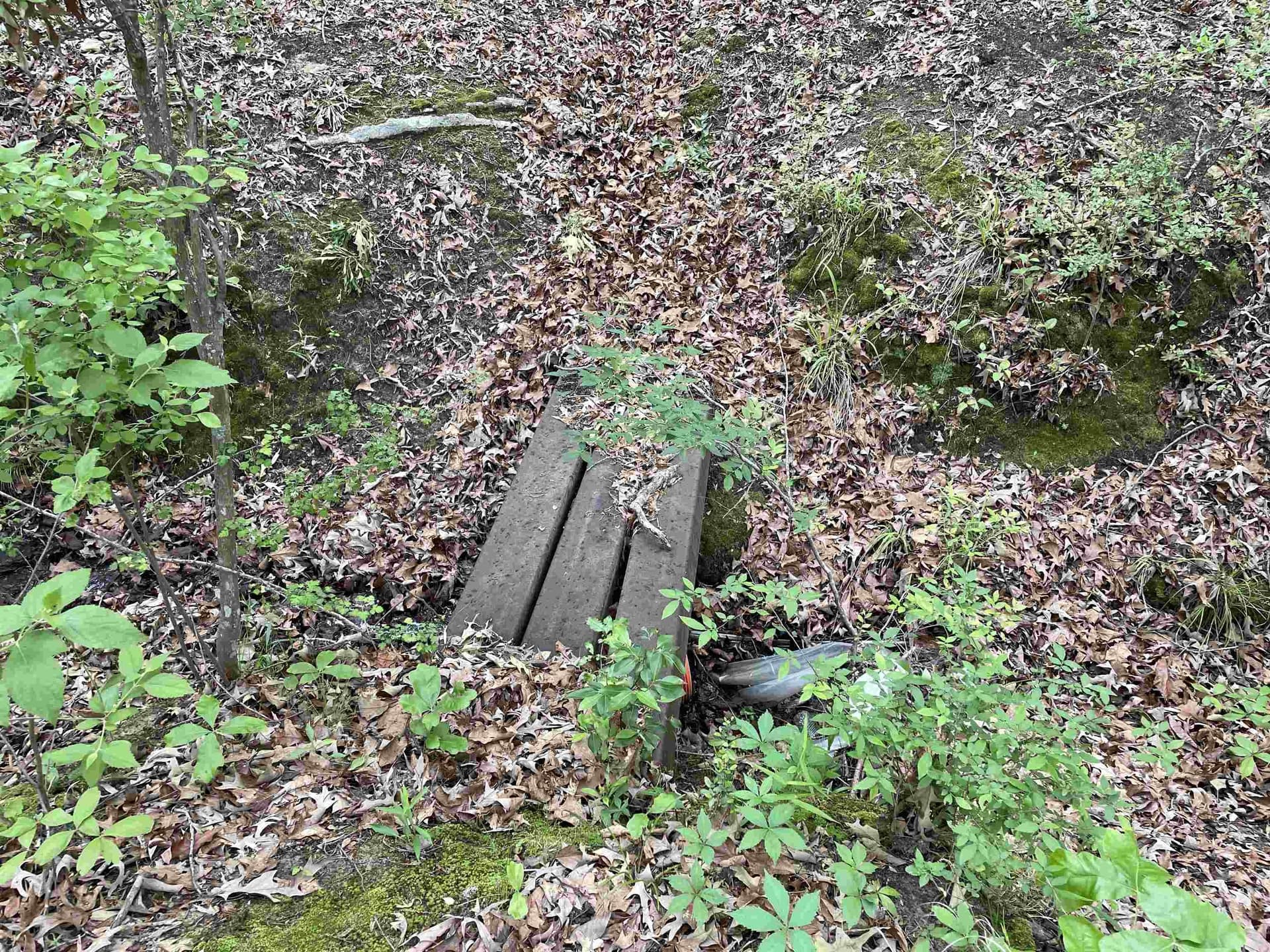 12.05 acres in Henderson County - photo 14