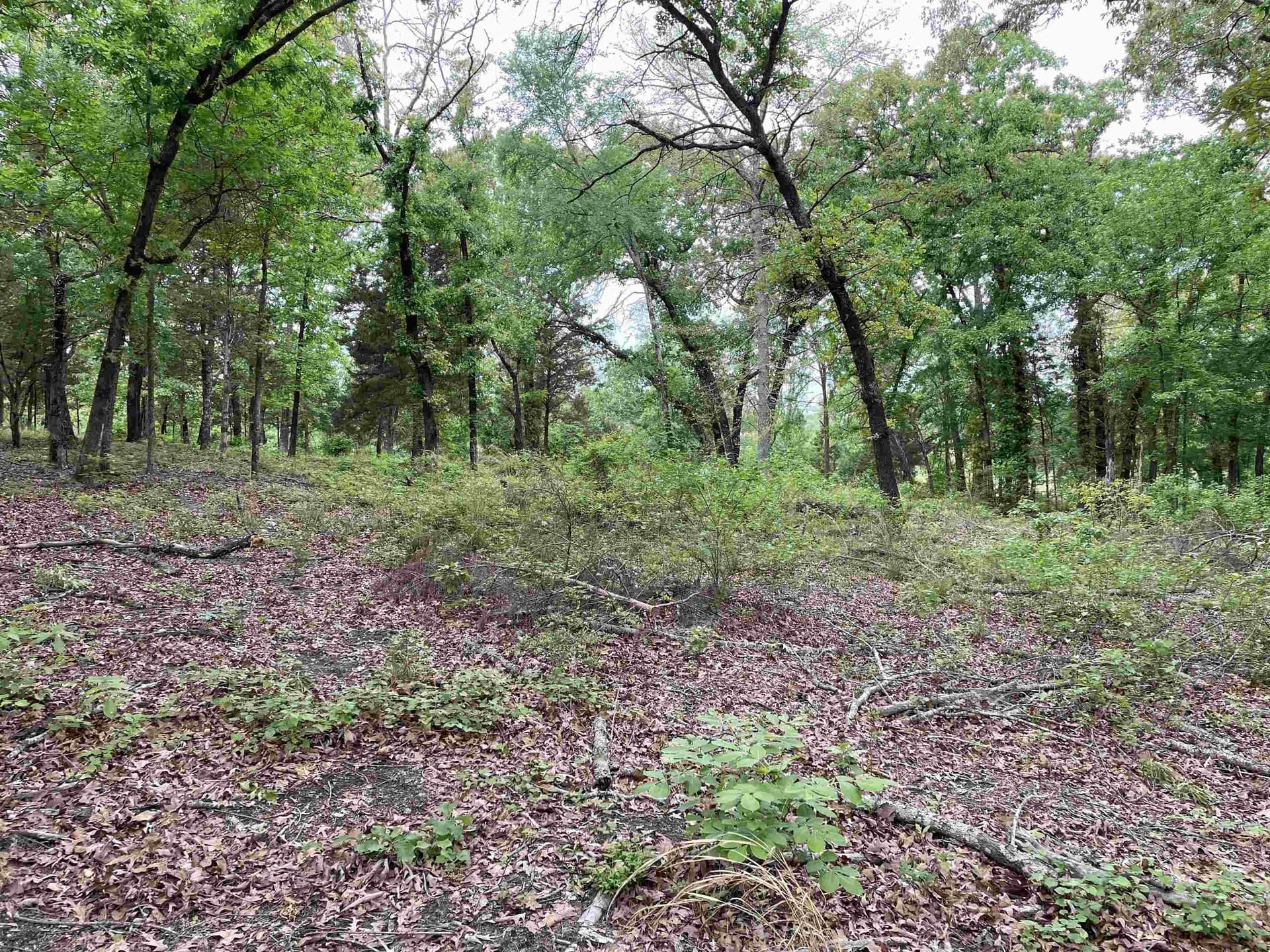 12.05 acres in Henderson County - photo 16