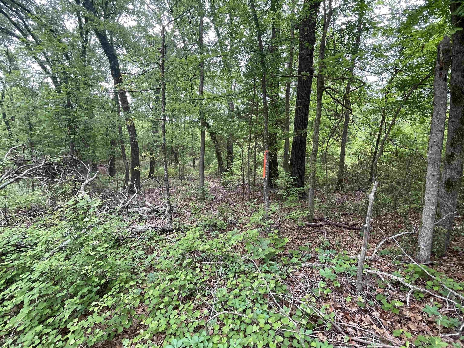 12.05 acres in Henderson County - photo 9