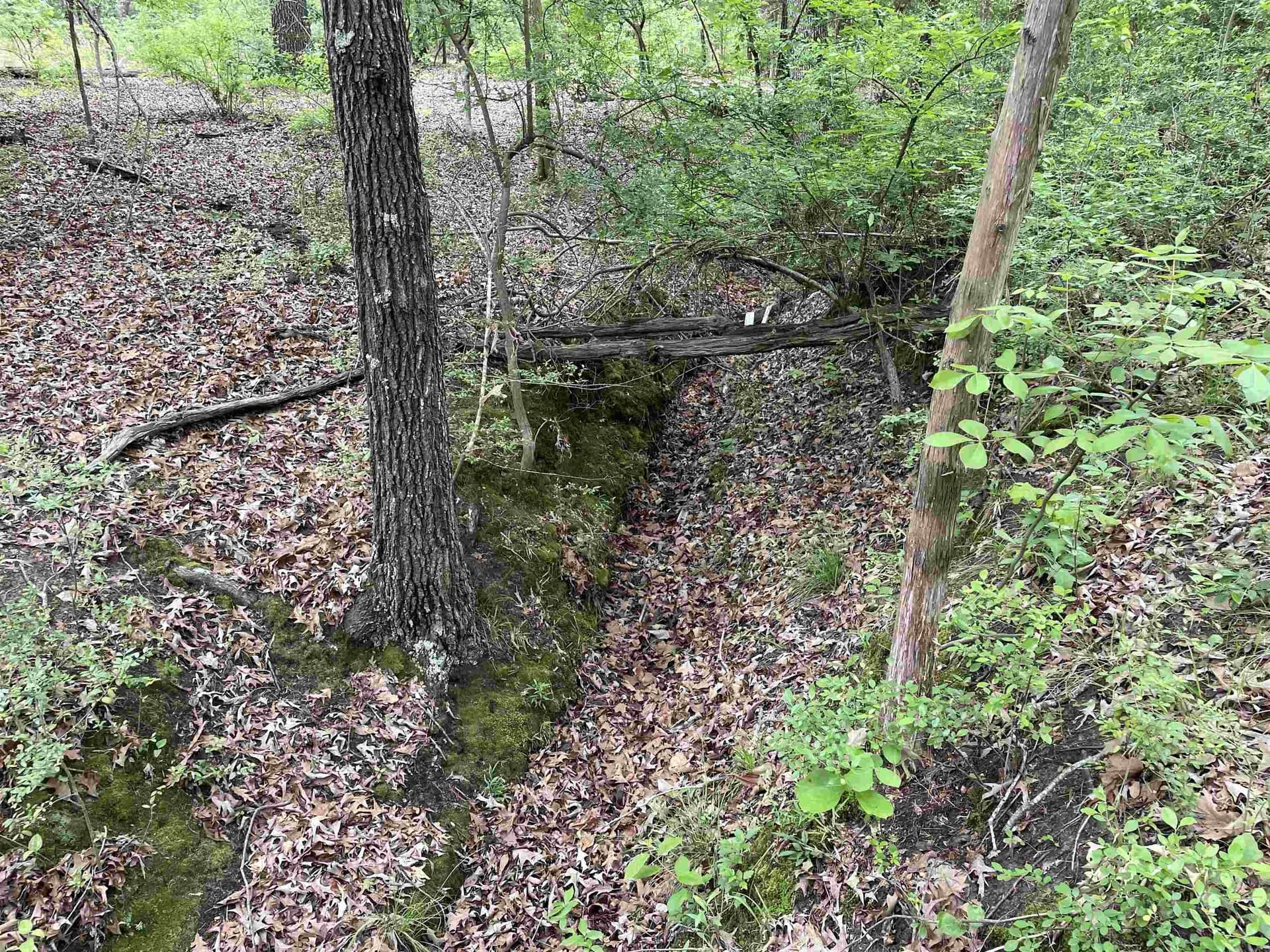 12.05 acres in Henderson County - photo 13