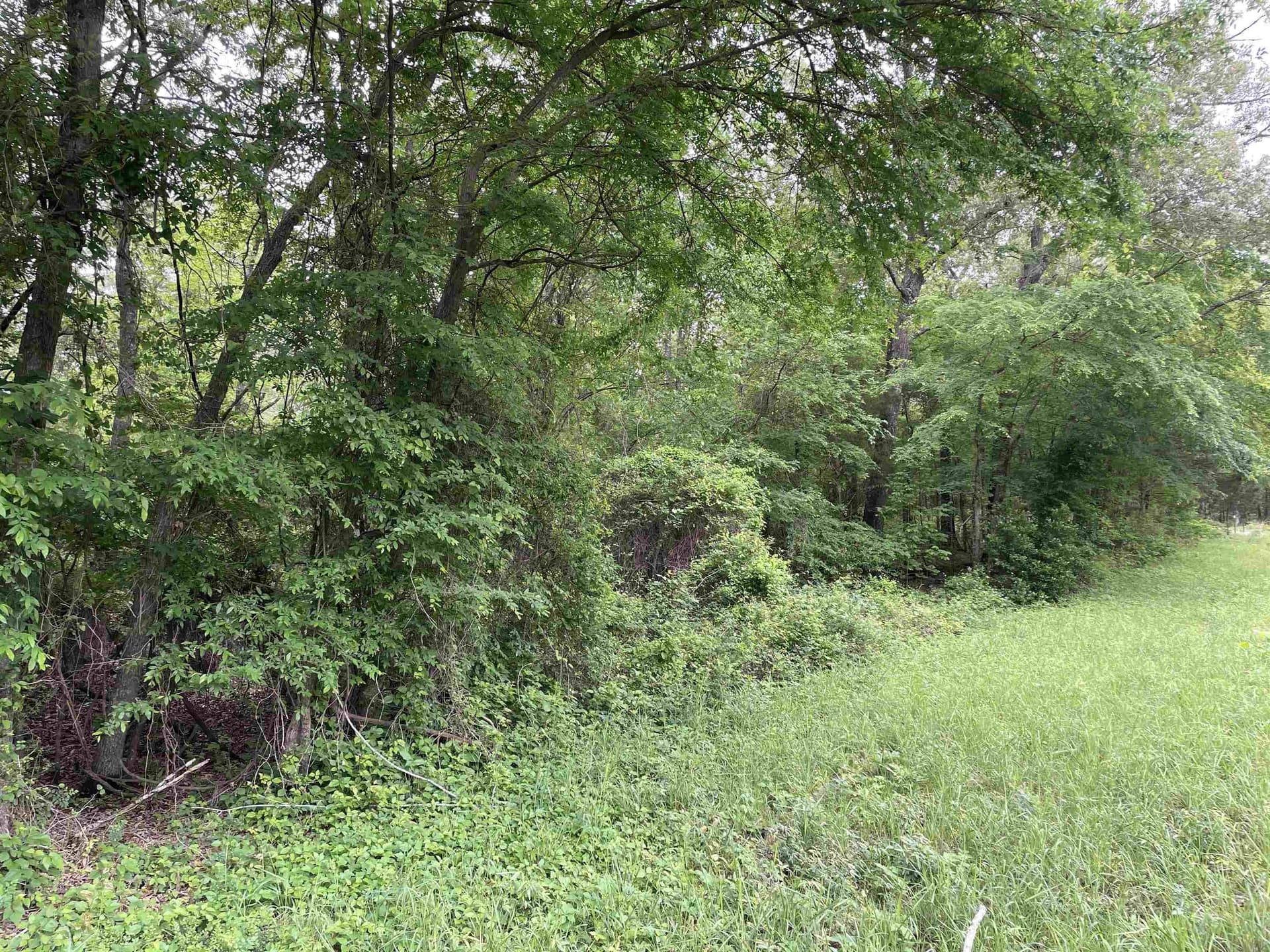 12.05 acres in Henderson County - photo 18