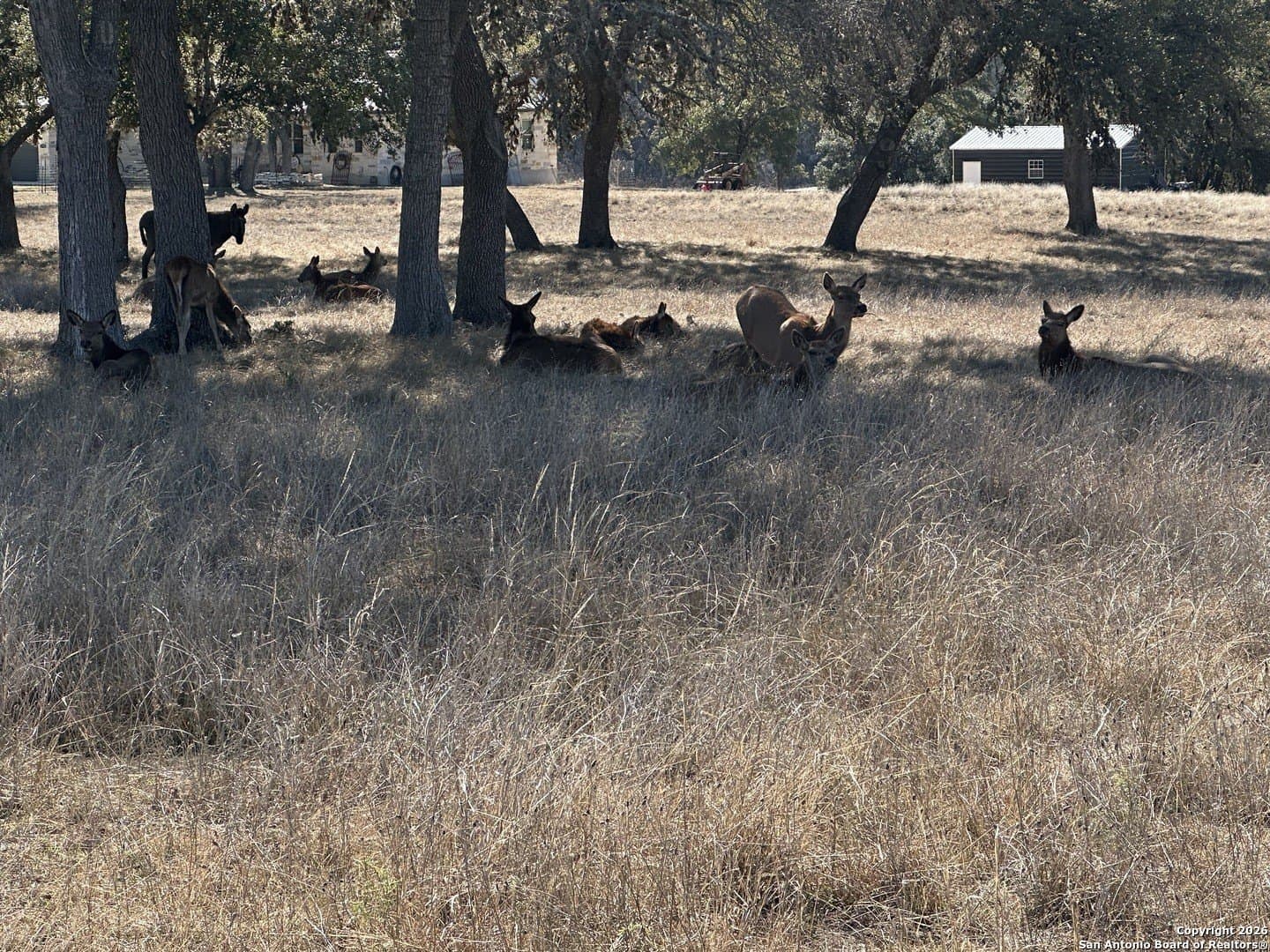 6 acres in Bandera County - photo 22