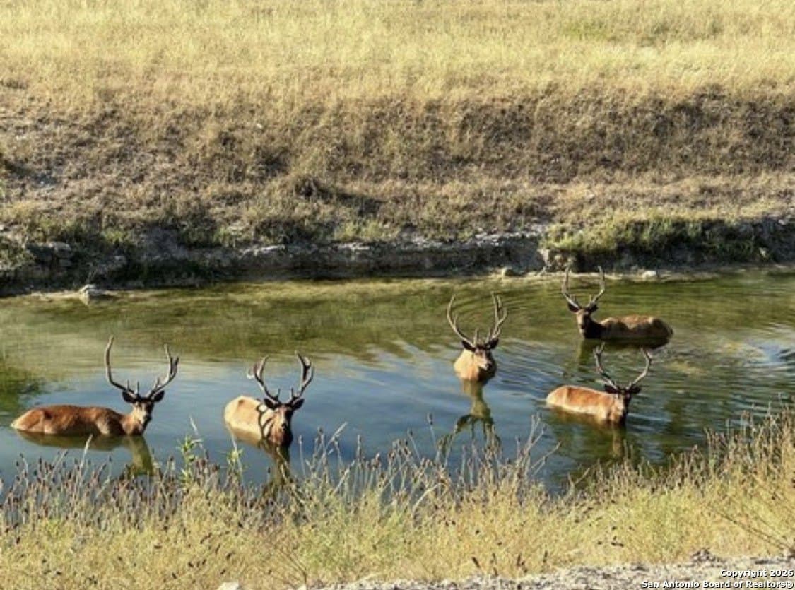 6 acres in Bandera County gallery image 2