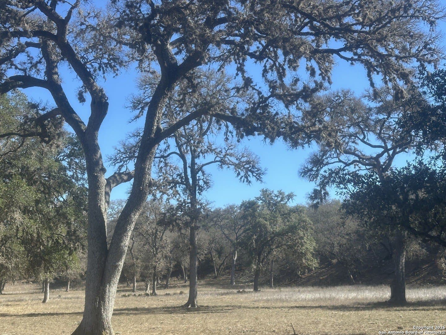 6 acres in Bandera County - photo 17