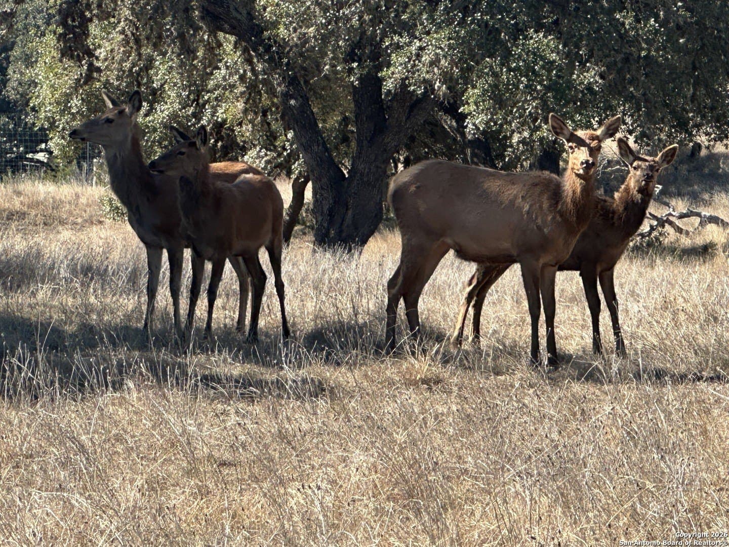 6 acres in Bandera County - photo 21